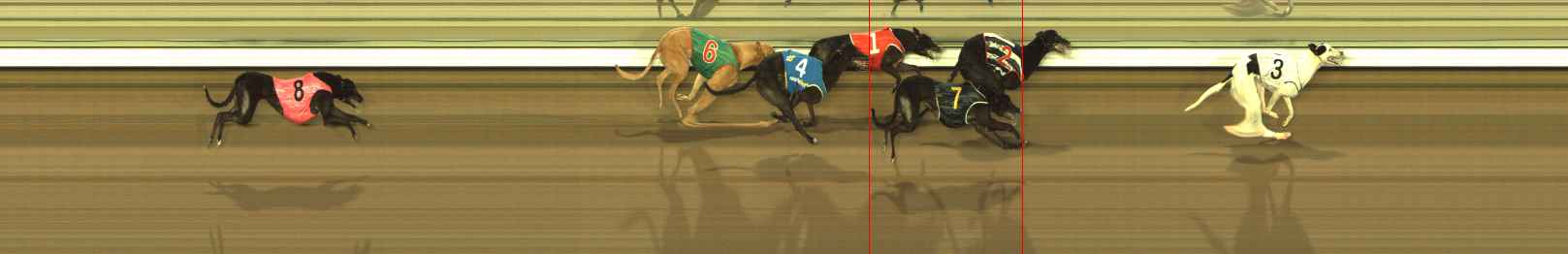 Race result finish photo